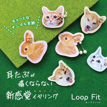 画像をギャラリービューアに読み込む, ループフィット LPF3Fit-24