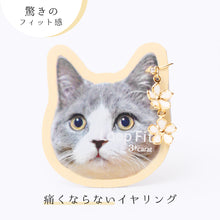 画像をギャラリービューアに読み込む, ループフィット LPF-PL005