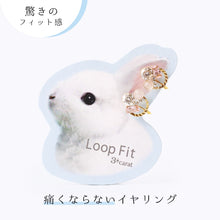 画像をギャラリービューアに読み込む, ループフィット LPF1329