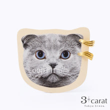 画像をギャラリービューアに読み込む, ループフィット ミニループ lpf1385