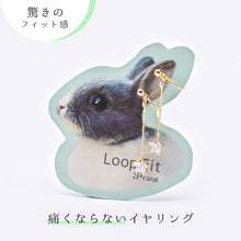 画像をギャラリービューアに読み込む, ループフィット LPF381