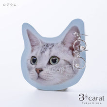 画像をギャラリービューアに読み込む, ループフィット LPF3Fit-12 全2色