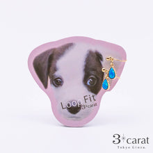 画像をギャラリービューアに読み込む, ループフィット LPF750 全3色