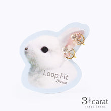 画像をギャラリービューアに読み込む, ループフィット LPF1329
