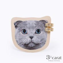 画像をギャラリービューアに読み込む, ループフィット ミニループ lpf1384
