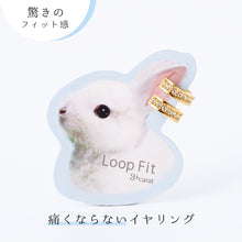 画像をギャラリービューアに読み込む, ループフィット ミニループ lpf1399
