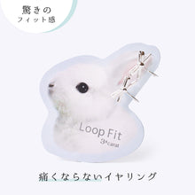 画像をギャラリービューアに読み込む, ループフィット LPF1661
