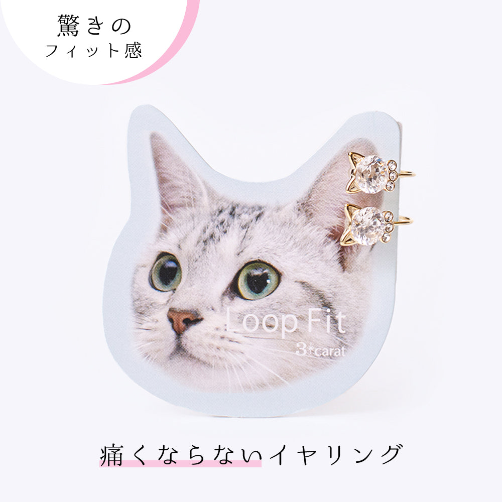 ループフィット LPF3Fit-22