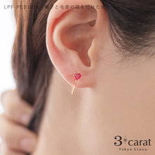 画像をギャラリービューアに読み込む, PICASSO ループフィット 全6種類
