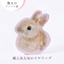 画像をギャラリービューアに読み込む, ループフィット LPF382
