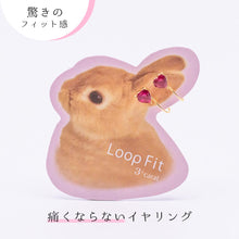 画像をギャラリービューアに読み込む, ループフィット LPF1016
