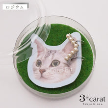 画像をギャラリービューアに読み込む, ループフィット LPF1498 全2色
