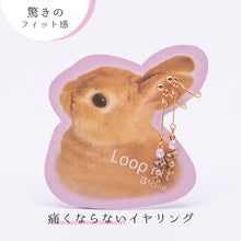 画像をギャラリービューアに読み込む, ループフィット LPF152
