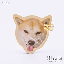 画像をギャラリービューアに読み込む, ループフィット LPF175 全3色
