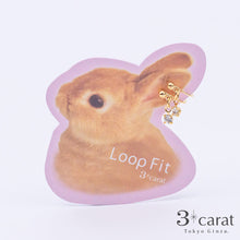 画像をギャラリービューアに読み込む, ループフィット LPF301
